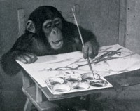 23_congo03.jpg