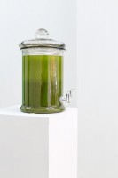 35_wheatgrass1.jpg