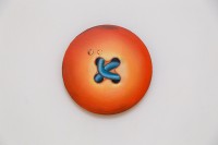 56_astrid-kajsa-nylander-orange-minijob-2018-oil-on-canvas-o-20cm.jpg