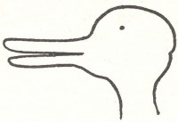 10_duckrabbitillusion2rt8.jpg
