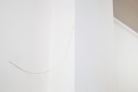 48_joana1.jpg