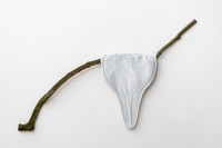 66_9.jpg