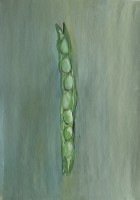 67_fava.jpg