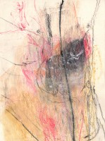 74_torso-mod-bis.jpg